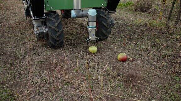 农业机器人用机械臂在地上摘苹果