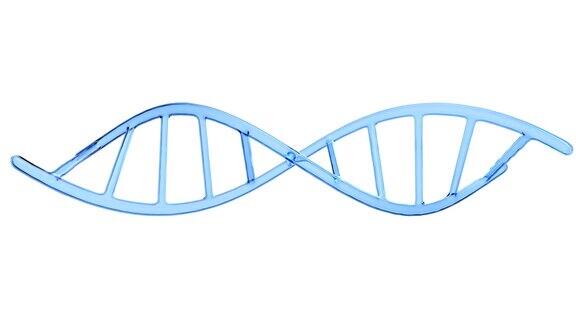 旋转DNA链孤立在白色环状3D渲染