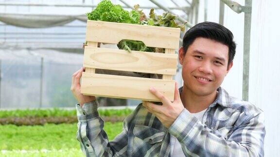 亚洲农民男工人在水培温室农场搬运一箱蔬菜绿色沙拉