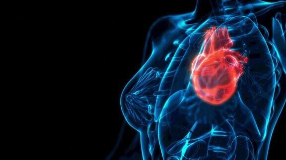 人类心脏病x光视图cg医学3D动画