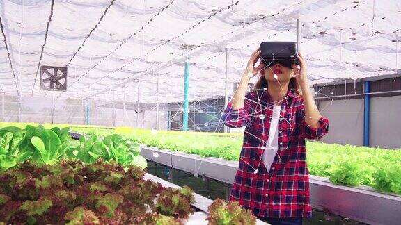 亚洲女农民使用VR眼镜探索水平农场种植的蔬菜未来的蔬菜农场没有转基因的新鲜清洁产品技术概念为您的工作4k