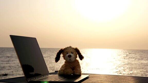 特写镜头一个打开的笔记本电脑和一只玩具狗躺在阳光下的桌子上背景是日出或日落的海边