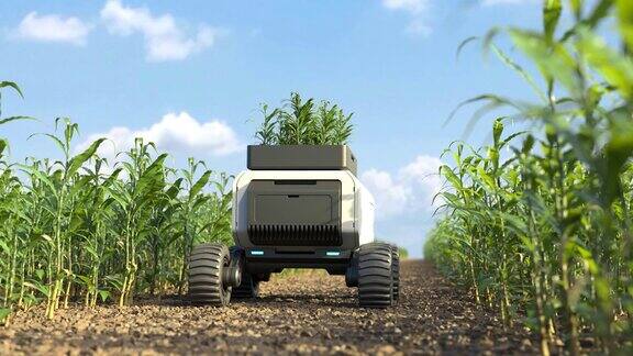 农业机器人工作在智能农场智能农业的耕作概念
