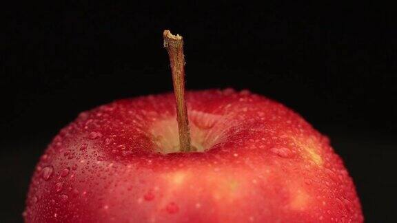 红色主要品种红色美丽的苹果特写