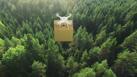 航拍一架无人机飞过夏季森林递送包裹