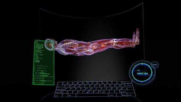 未来计算机上的核磁共振身体扫描