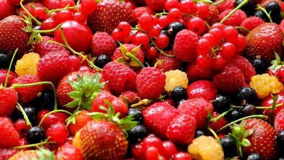 桌子上放着漂亮的红浆果有选择性的重点食物