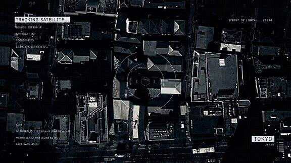 东京卫星图像