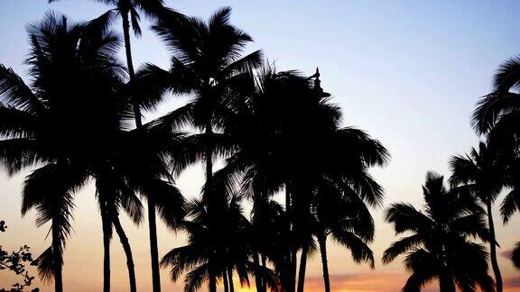 夏威夷的日落4k慢镜头