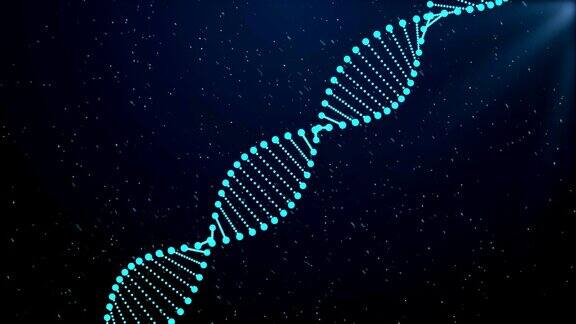 DNA序列发光的DNA编码结构