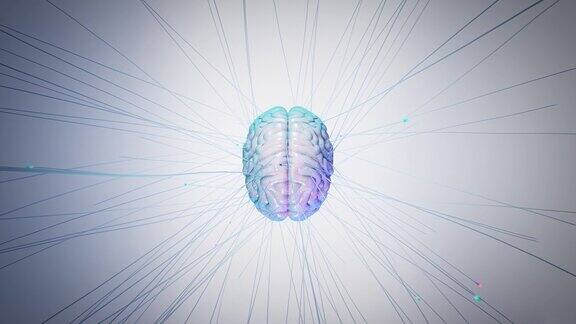 具有神经网络连接的数字人脑
