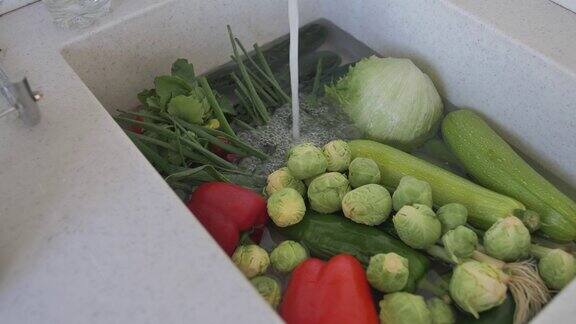 水槽装满各种各样的蔬菜装满水