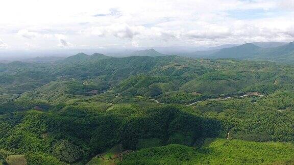 鸟瞰图农业与农村景观与雾山