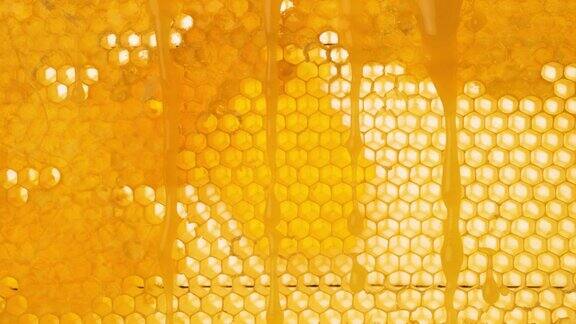 蜂蜜顺着蜂房的表面流下来蜂蜜滴在蜂蜡上养蜂蜂蜜产品在自然阳光下