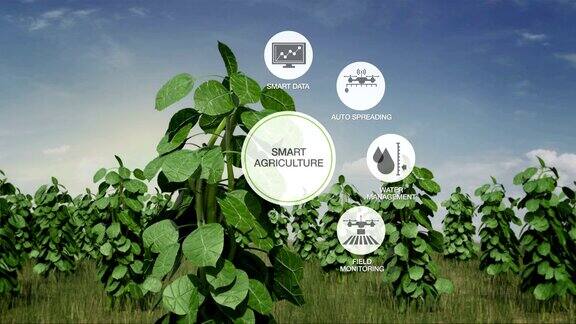 智慧农业植物绿地圆形信息图形图标物联网