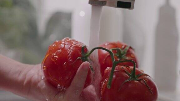 洗番茄和蔬菜