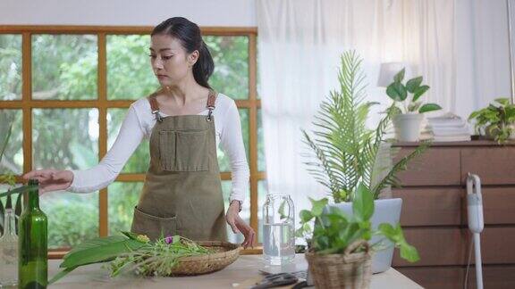 植物和树叶装饰DIYupcycling项目室内生活方式在客厅与自然的家庭生活人们做花盆到家居装饰零浪费的环保新鲜设计