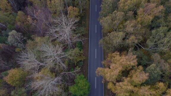 空中鸟瞰驾驶汽车在五颜六色的林地之间的道路在秋天-赫尔库兹尼察