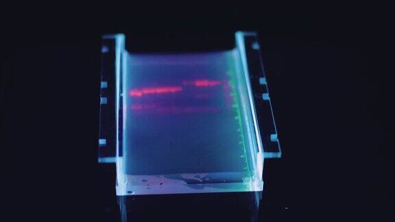 遗传分子实验室:分离病毒变种的DNA研究