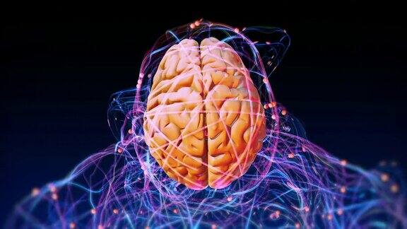 人脑神经系统
