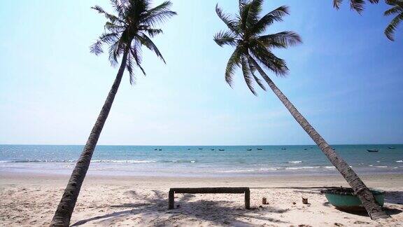 夏日午后椰子树斜向热带大海
