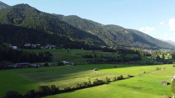 奥地利的山脉黄昏时的绿色森林和草地