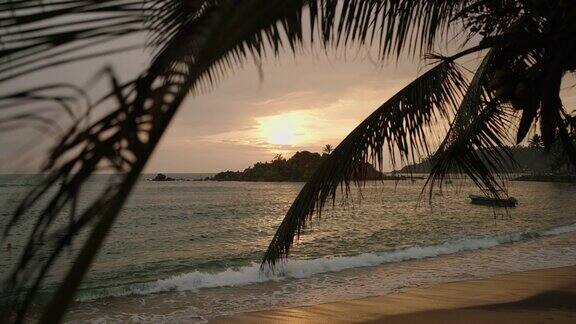 日落海洋景观与波浪运行和绿色岩石岛的背景在夕阳的映衬下棕榈树叶的黑色剪影映衬着海中黑暗的小岛黄昏的海洋和天空