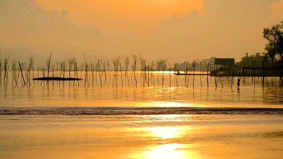 亚洲渔民在清晨金色的阳光下撒播着网鱼
