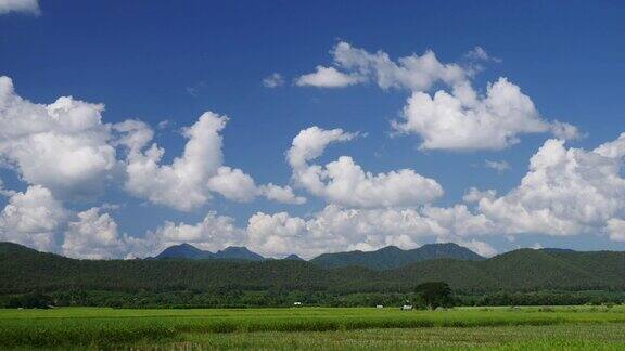 4K:草地绿色的田野和多云的蓝天延时运动
