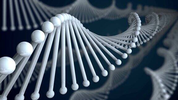 DNA分子的循环
