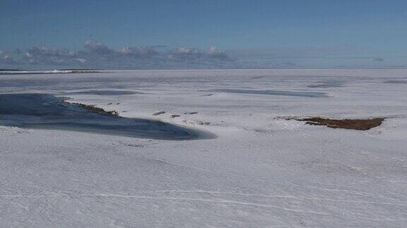 冬天阳光明媚的一天鸟儿在结冰的海面上飞翔海面上覆盖着冰雪寒冷的波罗的海沿岸的冰雪已经开始融化