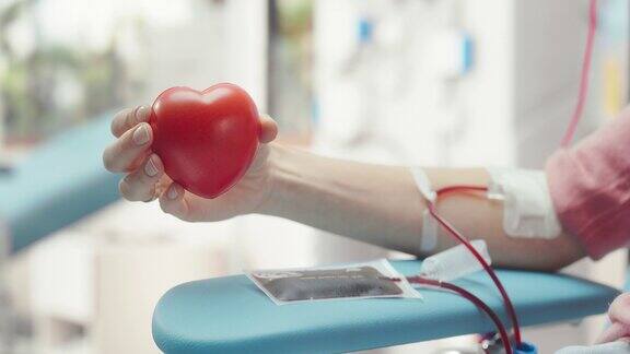 附置导管的女性献血者手部特写白人妇女挤压心形红球将血液通过管道泵入袋子并向镜头展示作为支持的象征