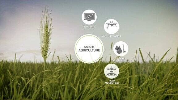 智慧农业智慧农业大麦绿地圆形信息图形图标物联网第四次工业革命