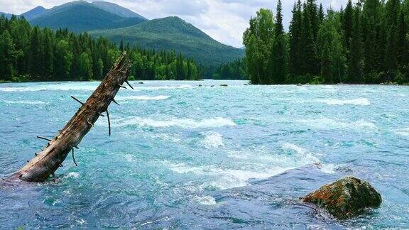 新疆河流自然风光优美