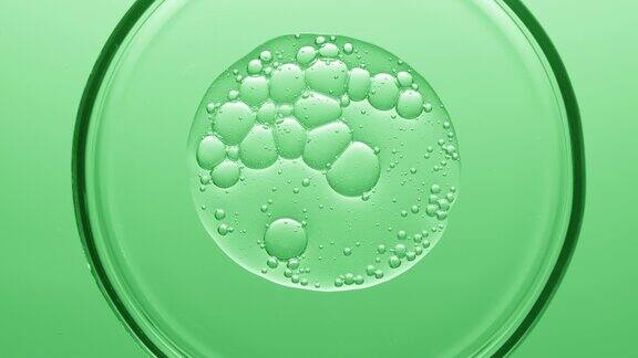 带有不同大小气泡的凝胶在培养皿中扩散开来