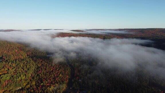 在多云的日出期间空中无人机的美丽的加拿大风景全景视图