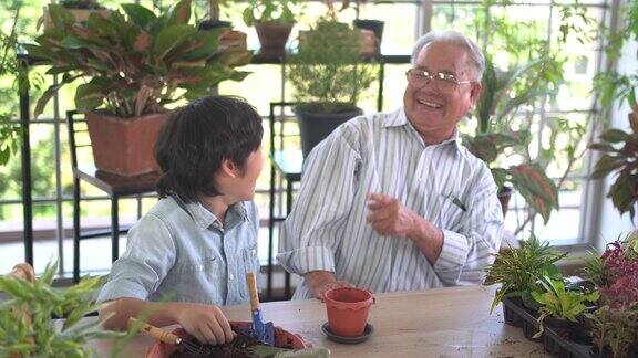 爷爷正在和孙子一起照顾一株植物