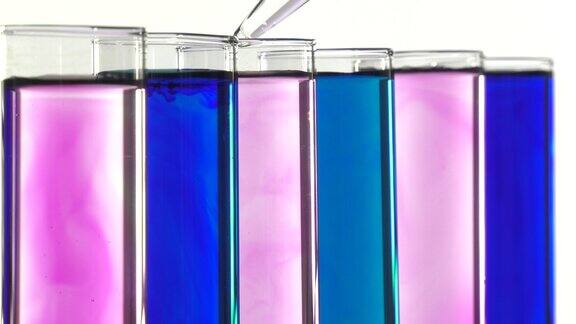用移液管将液体倒入蓝色和粉色的试管中