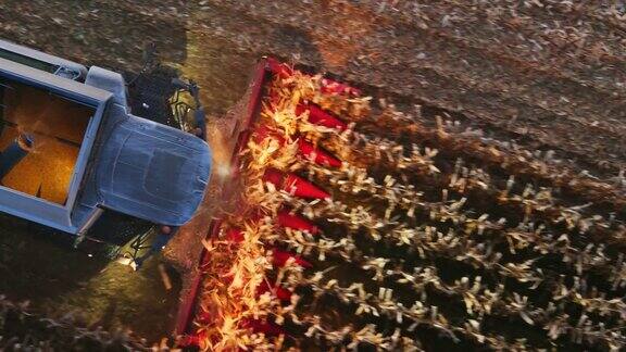 黄昏时分无人机拍摄的联合收割机收割玉米的画面