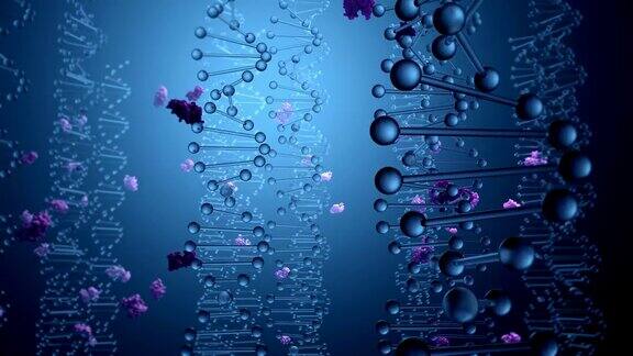 DNA编码蛋白质