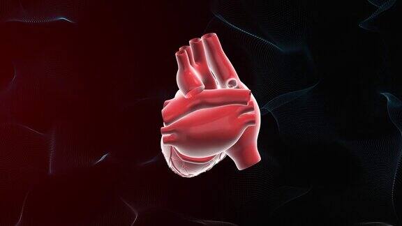 人类心脏保健和医学背景