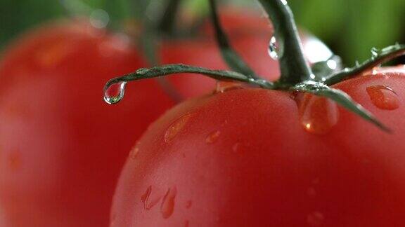极端特写的水滴在番茄在慢动作