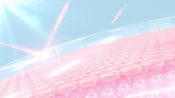 皮肤细胞3D动画具有紫外线防护的皮肤细胞