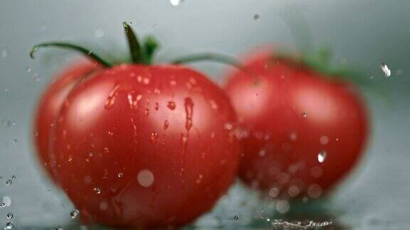 湿西红柿掉在桌子上