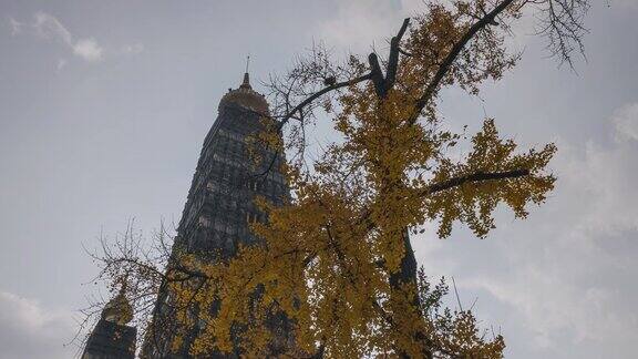 成都郊区一座高耸的宝塔被泛黄的银杏叶点缀着