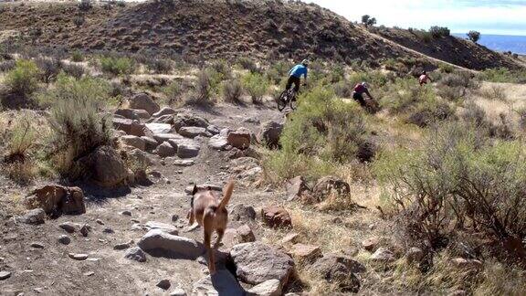 三名山地自行车手和一只狗在科罗拉多州Fruita的18号公路上骑过岩石