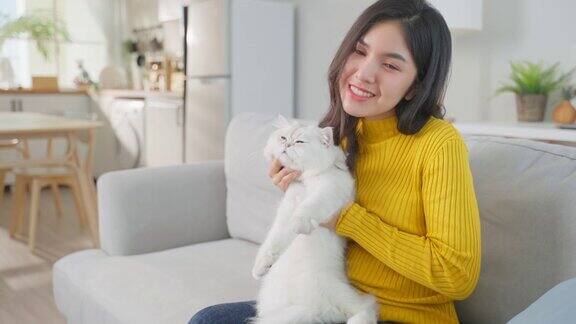 美丽的女人在家里抱着小猫幸福的肖像迷人的女性坐在沙发上和她的宠物在客厅里度过休闲时间在家里看相机