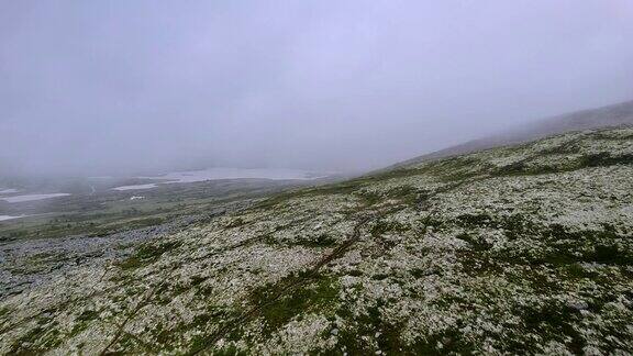 飞越山腰雾蒙蒙的风景长满了驯鹿苔藓和地衣