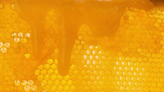 蜂蜜顺着蜂房表面流下来蜂蜜滴在蜂蜡上养蜂蜂蜜产品在自然阳光下