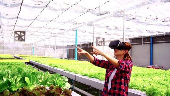 亚洲女农民使用VR眼镜探索水平农场种植的蔬菜未来的蔬菜农场没有转基因的新鲜清洁产品